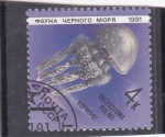 Stamps Russia -  MEDUSA