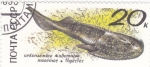 Stamps Russia -  BALLENA