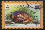 Stamps : Oceania : Tuvalu :  Peces - Imperial Angelfish 
