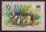 Sellos de Oceania - Tuvalu -  Peces - Chevroned Coralfish 