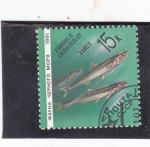 Stamps Russia -  anchoas