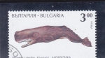 Stamps Bulgaria -  cachalote