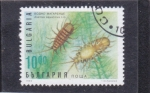 Stamps Bulgaria -  piojo de agua