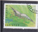 Stamps Bulgaria -  Gamba Común (Palaemon serratus)