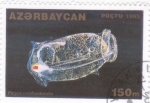 Stamps : Asia : Azerbaijan :  Cadena de salpas (Pegea confoederata)