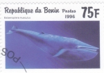 Stamps : Africa : Benin :  Ballena Azul (Balaenoptera musculus)