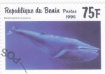 Sellos de Africa - Benin -  Ballena Azul (Balaenoptera musculus)