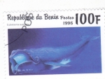 Stamps Benin -  Ballena Franca Austral (Eubalaena australis)