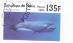 Stamps : Africa : Benin :  Delfín gris (Gramphidelphis griseus)