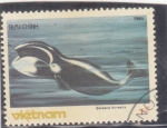 Stamps : Asia : Vietnam :  BALLENA