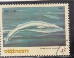 Stamps : Asia : Vietnam :  cachalote
