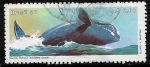 Stamps : America : Brazil :  Balea Franca