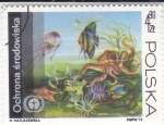 Stamps Poland -  fauna marina