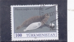 Stamps : Asia : Turkmenistan :  Foca caspia  adulta con jóvenes