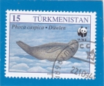 Stamps : Asia : Turkmenistan :  Foca del Caspio sobre hielo