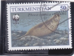 Stamps : Asia : Turkmenistan :  Foca del Caspio