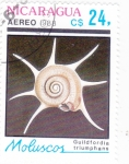 Stamps Nicaragua -  CARACOLA