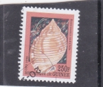 Stamps Guinea -  CARACOLA