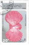 Stamps Laos -  moluscos