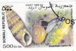 Stamps : Asia : Somalia :  CARACOLA Y CARACOL