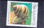 Stamps Afghanistan -  CARACOLA