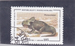 Stamps : Africa : Madagascar :  ANIMALES PREHISTÓRICOS- Protoceratops