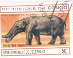 sello : Africa : Rep�blica_del_Congo : ANIMALES PREHISTÓRICOS-Evolución del elefante