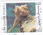 Stamps : Asia : Afghanistan :  CARACOLA