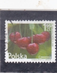 Sellos de Europa - Polonia -  cerezas