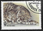 Stamps : Asia : Kyrgyzstan :  Pantera Uncia
