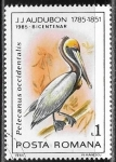Stamps Romania -  Aves - Pelecanus occidentalis