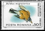 Sellos del Mundo : Europa : Rumania : Aves - Turdus migratorius