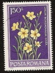 Stamps : Europe : Romania :  Flora - Linum borzaeanum