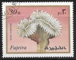 Sellos de Asia - Emiratos �rabes Unidos -  Mussa angulosa