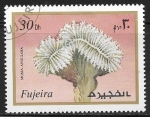 Stamps United Arab Emirates -  Mussa angulosa