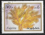 Stamps United Arab Emirates -  Galligorgia plumatilis