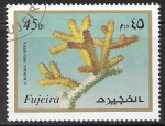 Stamps United Arab Emirates -  Acropora prolifera