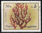 Stamps United Arab Emirates -  Corallium rubrum