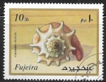 Stamps United Arab Emirates -  Strombus pugilis