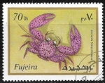 Stamps United Arab Emirates -  Petrolisthes monodi