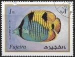 Stamps United Arab Emirates -  Peces - Chaetodon falcula
