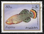 Stamps United Arab Emirates -  Peces - Nothobranchius rachovii