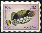 Stamps United Arab Emirates -  Peces - Balistoides conspicillum
