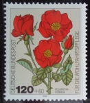 Stamps Germany -  Alemania