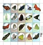 Stamps Netherlands Antilles -  Mariposas