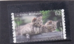 Stamps Germany -  gatos domesticos