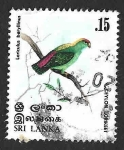 Sellos de Asia - Sri Lanka -  565 - Lorículo de Ceilán