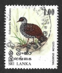 Sellos de Asia - Sri Lanka -  567 - Faisancillo de Ceilán