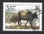Stamps Sri Lanka -  686 - Bueyes