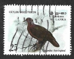 Stamps Sri Lanka -  691 - Paloma de Ceilán